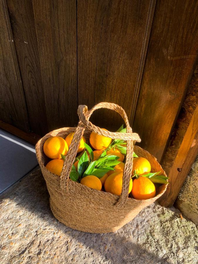 فيلا Quinta Das Bollotas فافي المظهر الخارجي الصورة